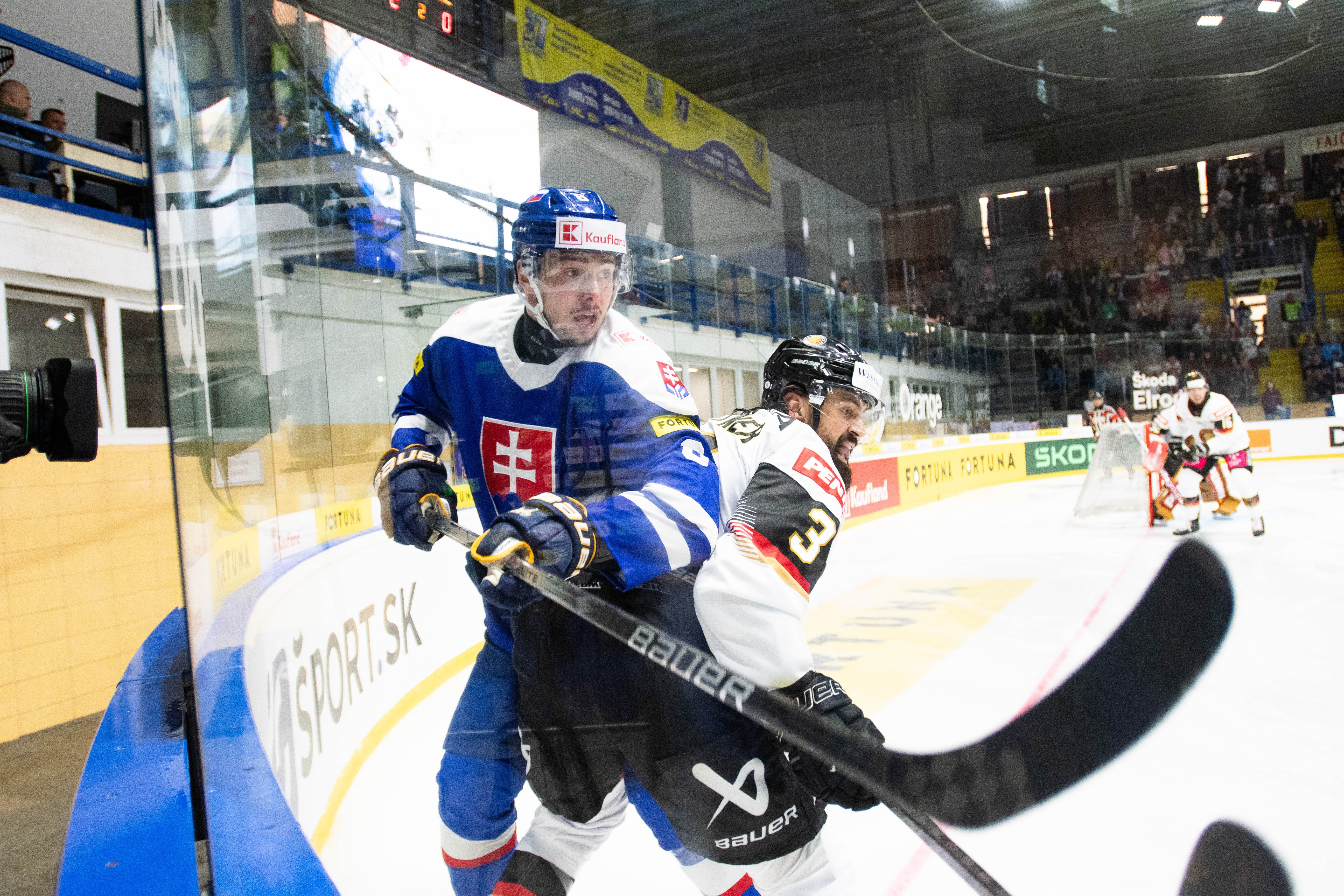 Hokejová reprezentácia